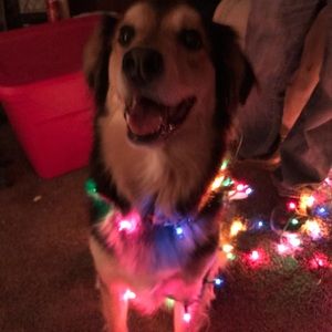 Meet your Posher, Ericka